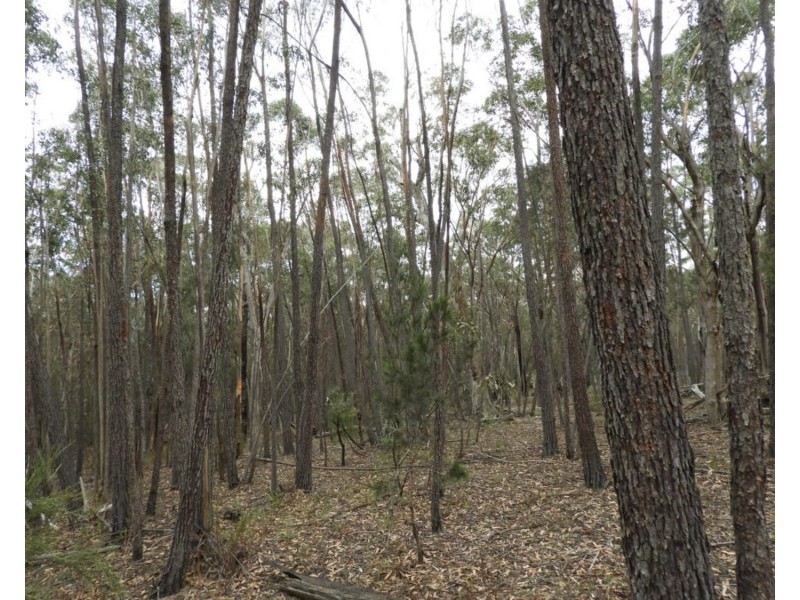 2355 Towrang Road, Greenwich Park NSW 2580