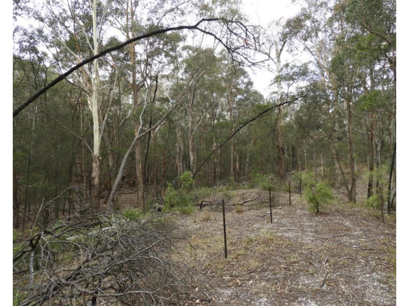 2355 Towrang Road, Greenwich Park NSW 2580