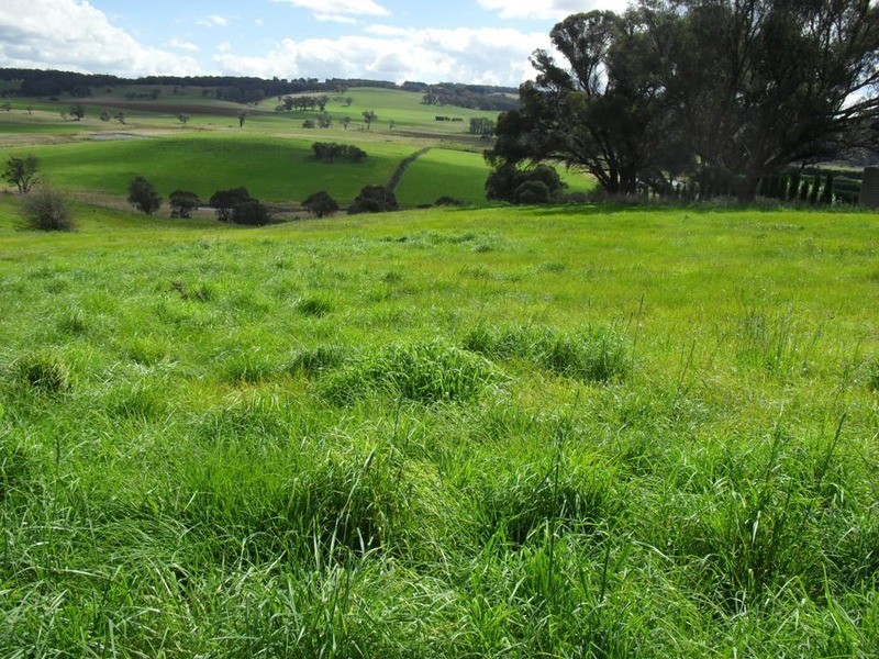 Lot 50 Somerset Place, Crookwell NSW 2583