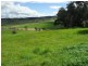 Lot 50 Somerset Place, Crookwell NSW 2583
