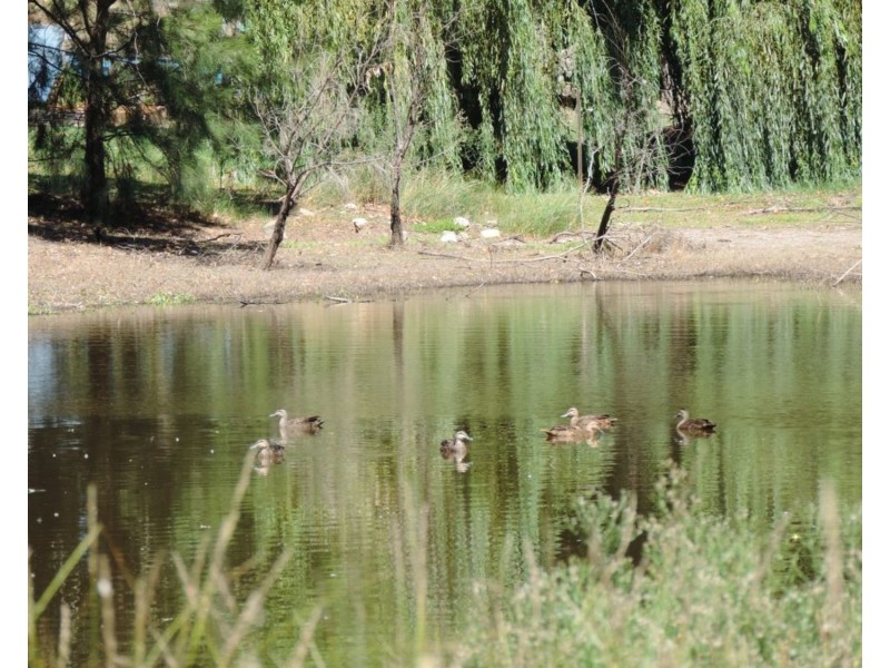 Lot 182 Gundaroo Street, Gunning NSW 2581