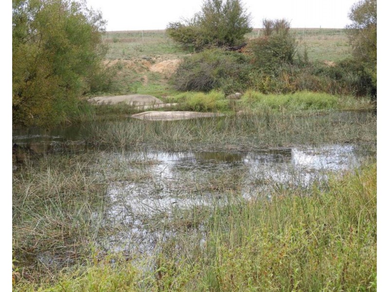 Sherwood  1144 (Lot 6) Towrang Road, Towrang NSW 2580