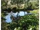 1092 Towrang Road, Towrang NSW 2580