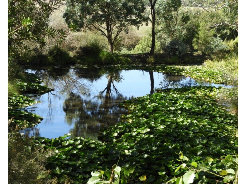 1092 Towrang Road, Towrang NSW 2580