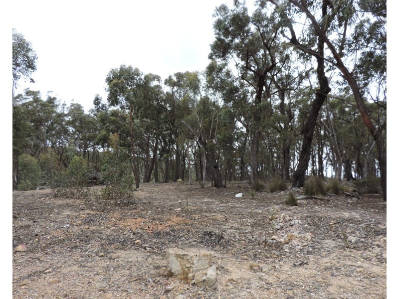 359 Winfarthing Road, Marulan NSW 2579