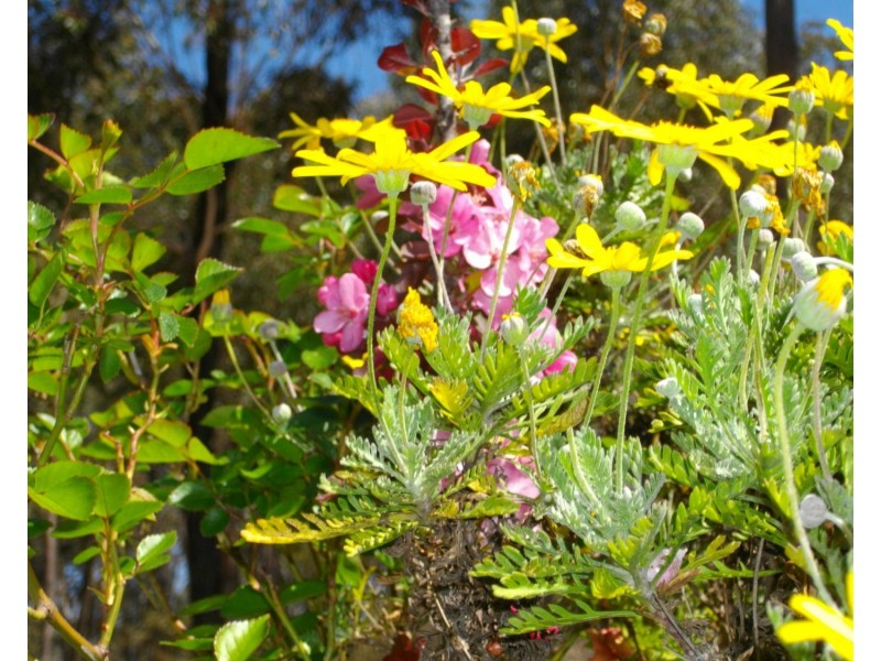 359 Winfarthing Road, Marulan NSW 2579