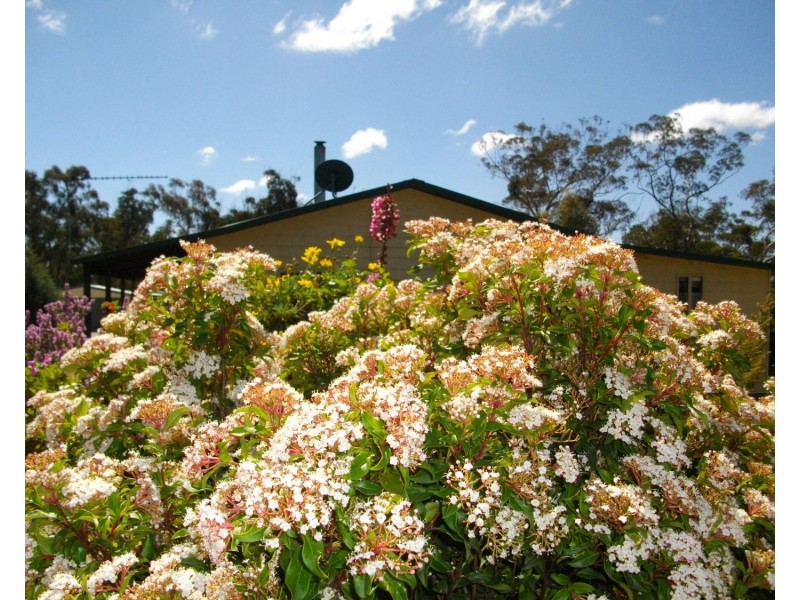 359 Winfarthing Road, Marulan NSW 2579