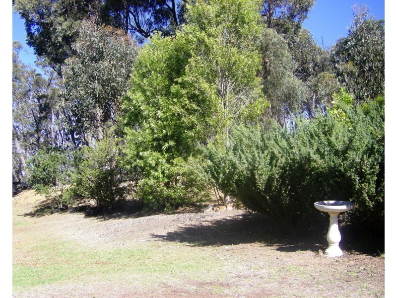 359 Winfarthing Road, Marulan NSW 2579