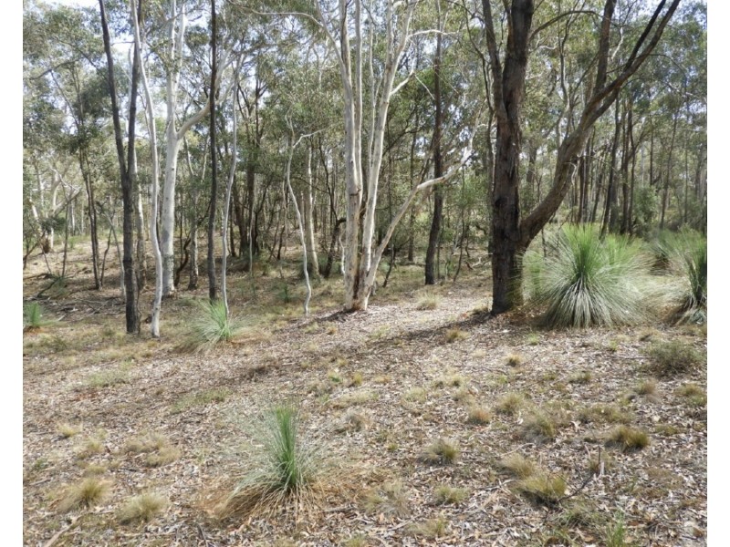 Lot 5 2469 Range Road, Goulburn NSW 2580