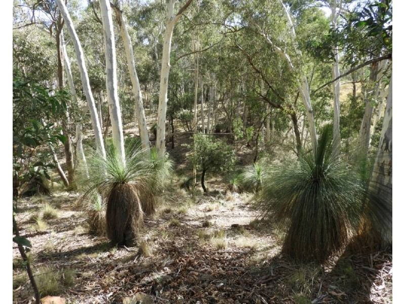 Lot 5 2469 Range Road, Goulburn NSW 2580
