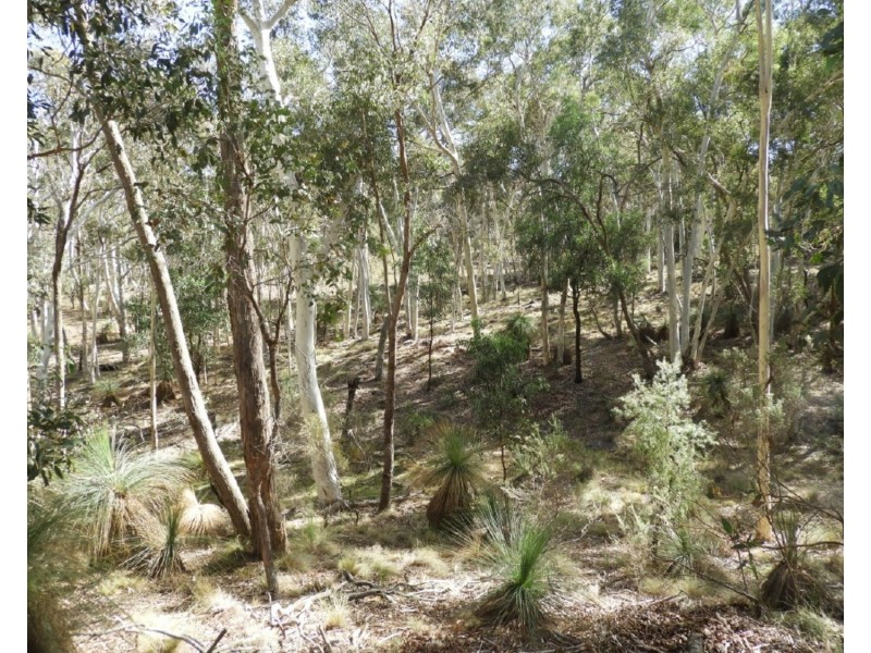 Lot 5 2469 Range Road, Goulburn NSW 2580