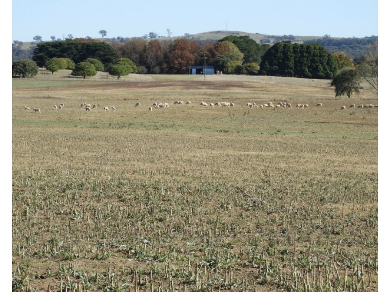 Ashwell 3276 Gurrundah Road, Gurrundah NSW 2581