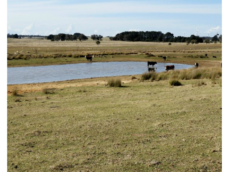 Ashwell 3276 Gurrundah Road, Gurrundah NSW 2581
