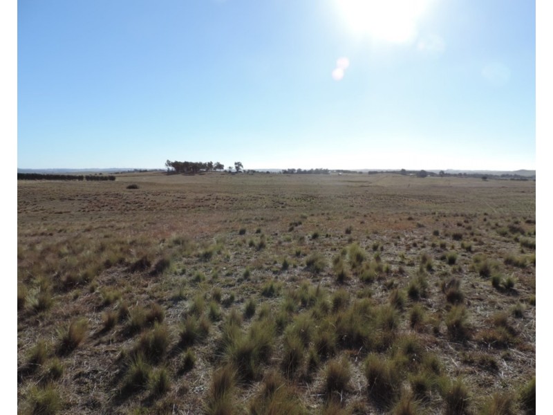 Lot 142 187 Woodhouselee Road, Goulburn NSW 2580