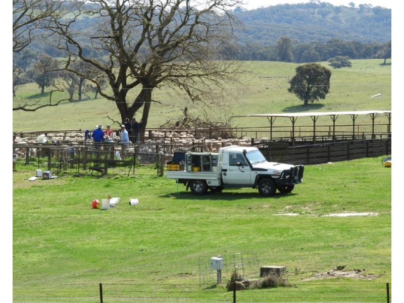 Ashwell Homestead 3276 Gurrundah Road, Gurrundah NSW 2581