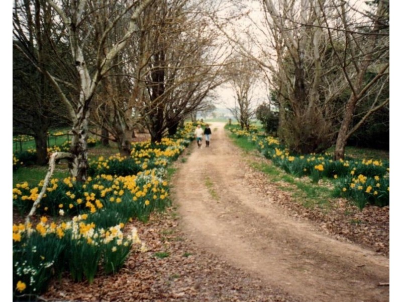 Ashwell Homestead 3276 Gurrundah Road, Gurrundah NSW 2581