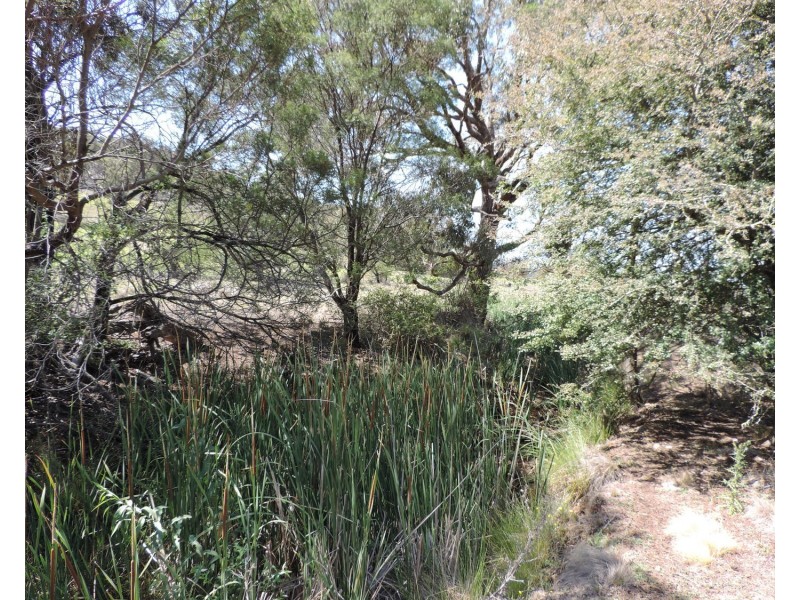 Lot 4 Currawang Road, Currawang NSW 2580