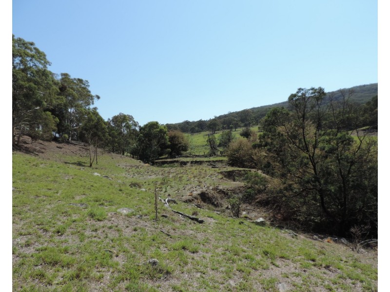 Lot 4 Currawang Road, Currawang NSW 2580