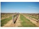 569c Mosley Road, Bilbul NSW 2680