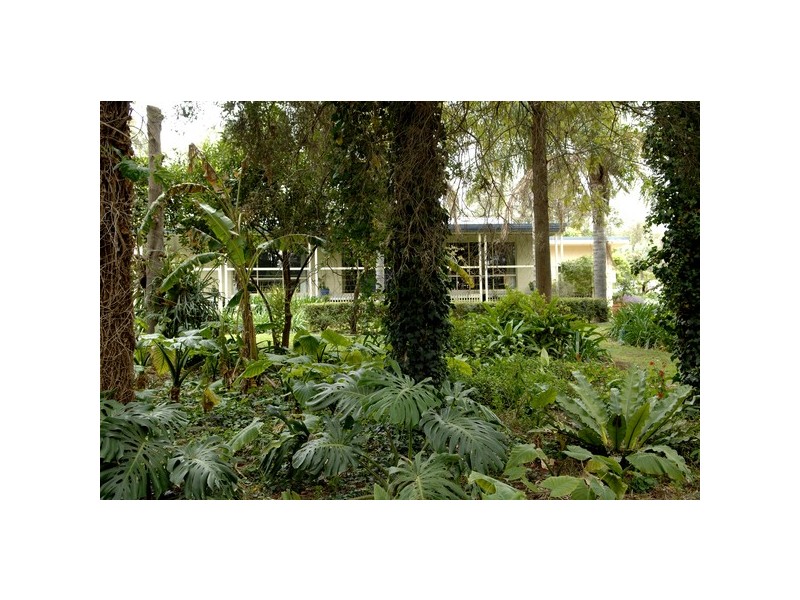 85 Mallinson Road, Griffith NSW 2680