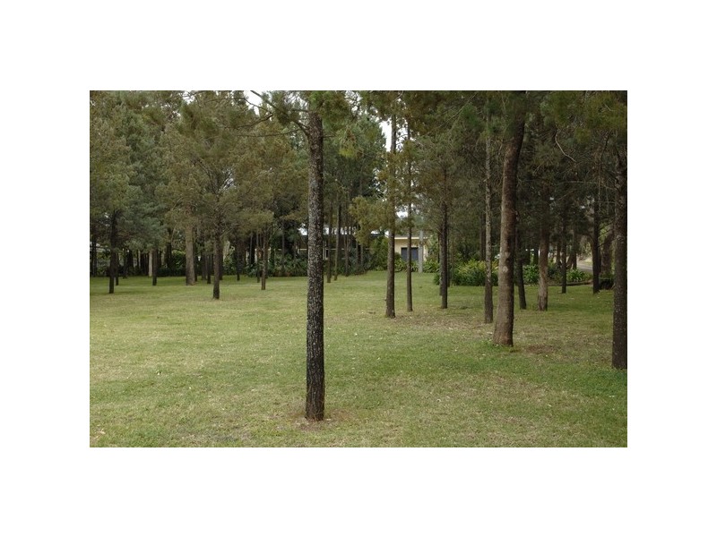 85 Mallinson Road, Griffith NSW 2680