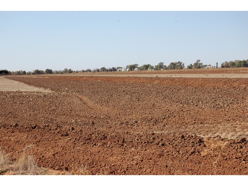 Farm / 1516 Gribble Road, Yenda NSW 2681