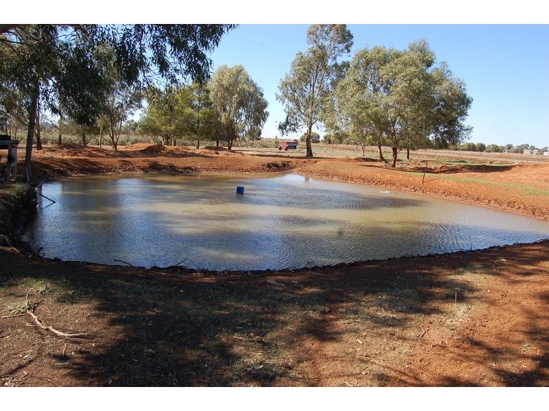 Farm / 1516 Gribble Road, Yenda NSW 2681