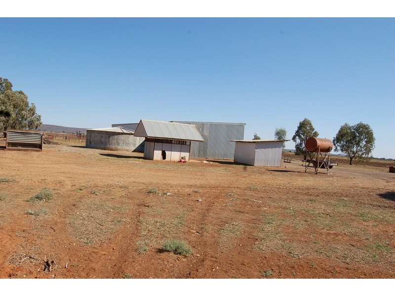 Farm / 1516 Gribble Road, Yenda NSW 2681