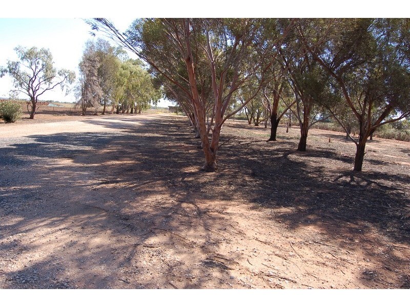 Farm / 1516 Gribble Road, Yenda NSW 2681