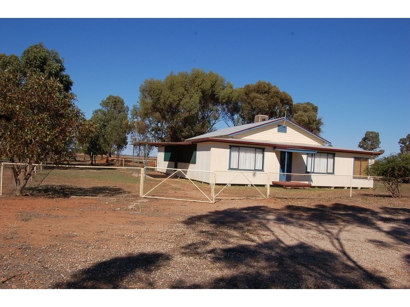 Farm / 1516 Gribble Road, Yenda NSW 2681