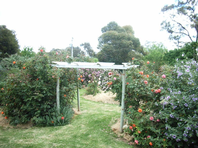 Lot 1 Hay Road, Darlington Point NSW 2706
