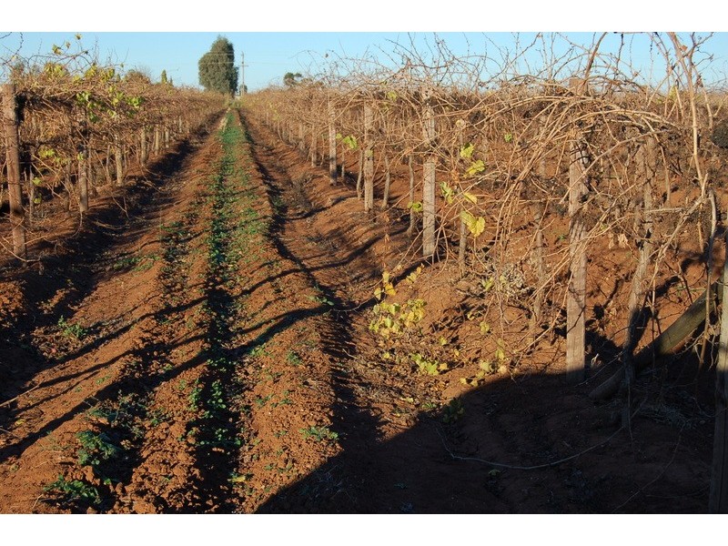 Farm 73 & 73a Moseley Road, Bilbul NSW 2680