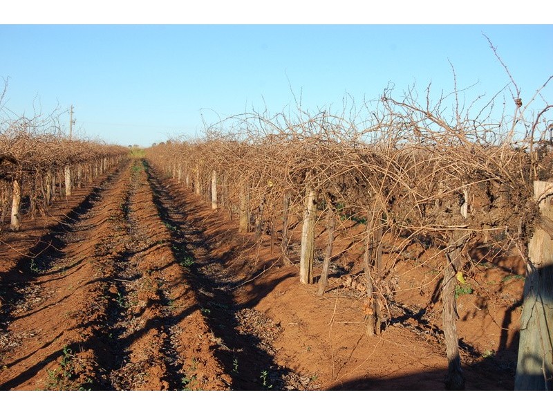 Farm 73 & 73a Moseley Road, Bilbul NSW 2680