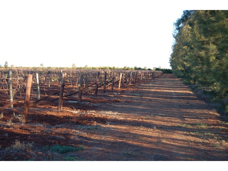 Farm 73 & 73a Moseley Road, Bilbul NSW 2680