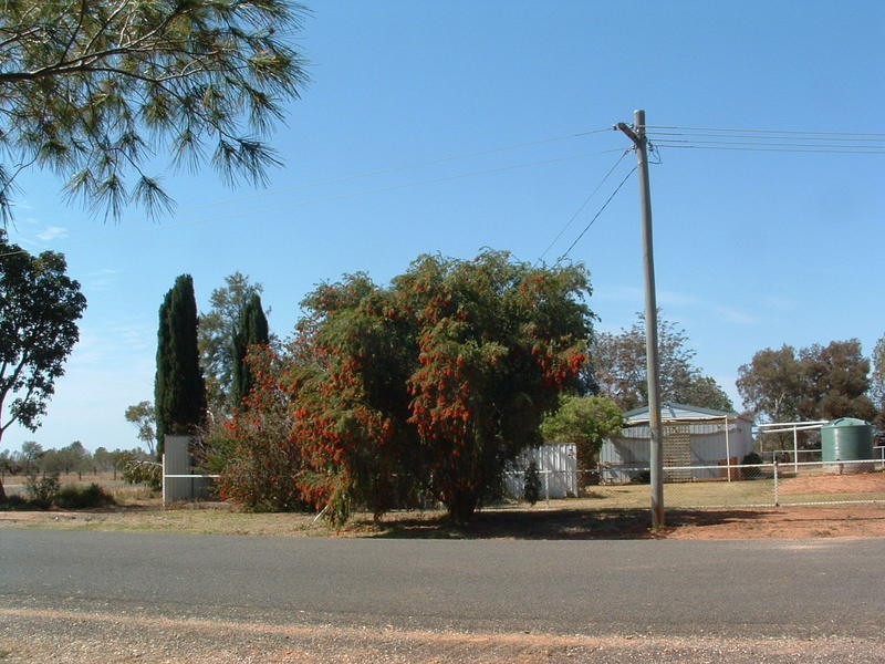 9/11 Charney Street, Merriwagga NSW 2652