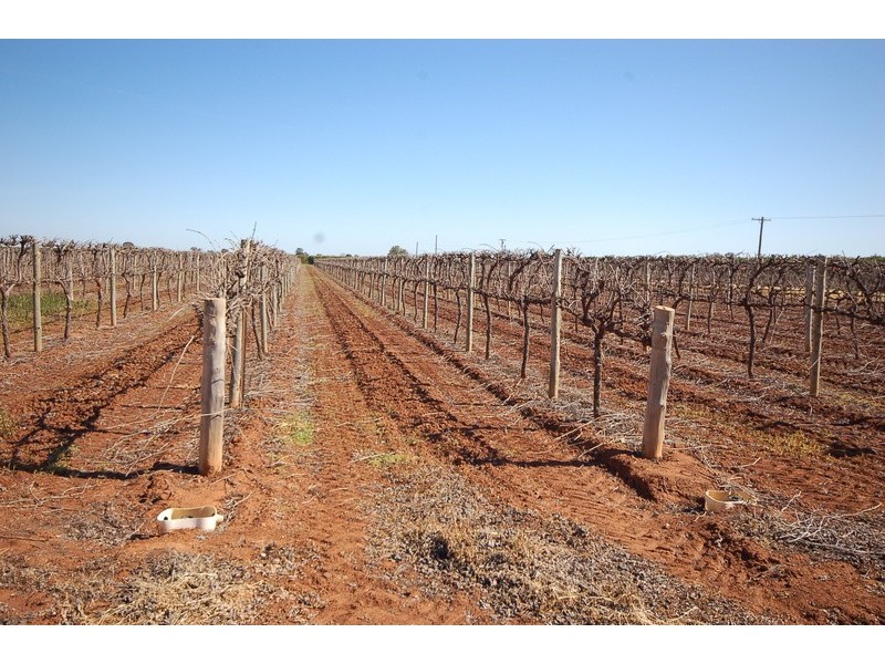 Farm / 57 Sara Road, Hanwood NSW 2680