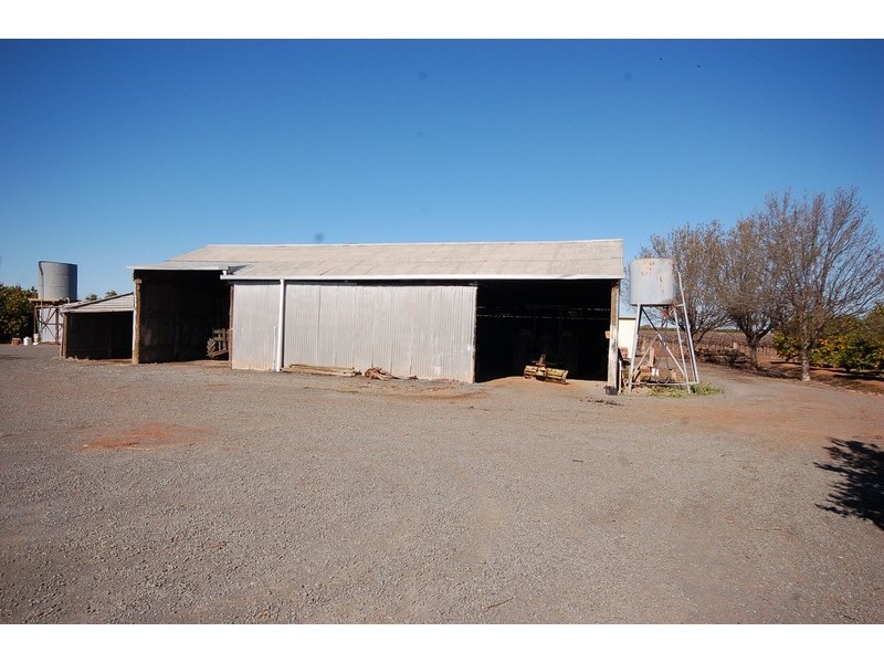 Farm / 57 Sara Road, Hanwood NSW 2680