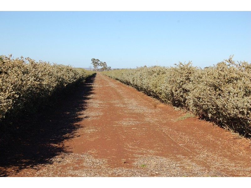 NIP No. 2 Wood Road, Yenda NSW 2681