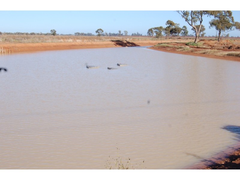 NIP No. 2 Wood Road, Yenda NSW 2681