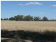 ‘BURNSIDE’ Uroly Road, Narrandera NSW 2700
