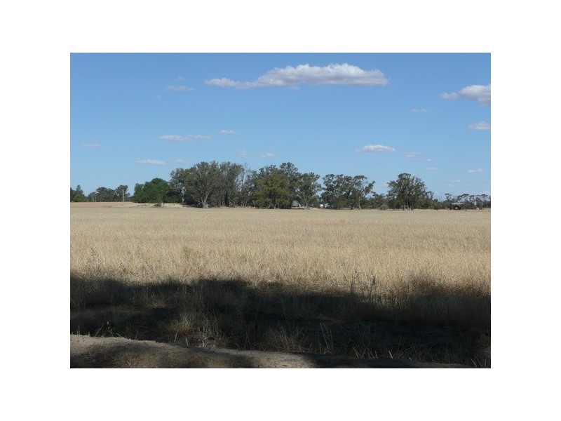 ‘BURNSIDE’ Uroly Road, Narrandera NSW 2700