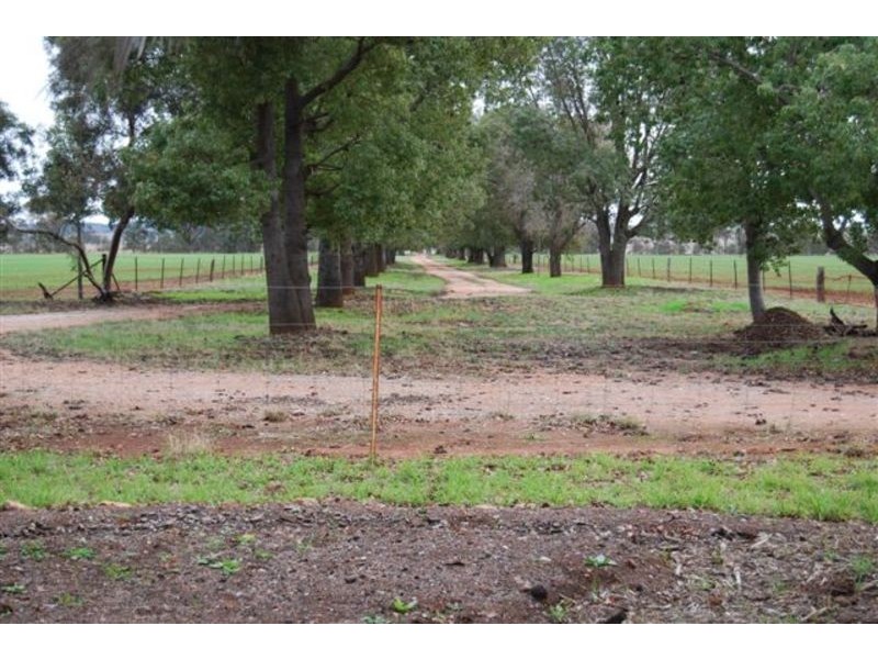 3740 Narrandera Road, Colinroobie NSW 2700