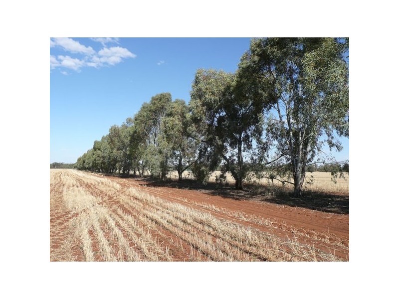 2645 Cemetry Road, Yenda NSW 2681