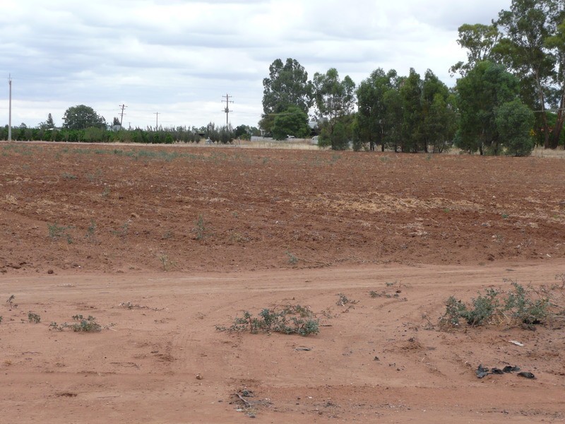 Farm/877 Walsh Road, Stanbridge NSW 2705