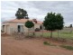Farm/877 Walsh Road, Stanbridge NSW 2705