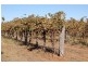 Farm/1444a Bilbul Road, Bilbul NSW 2680