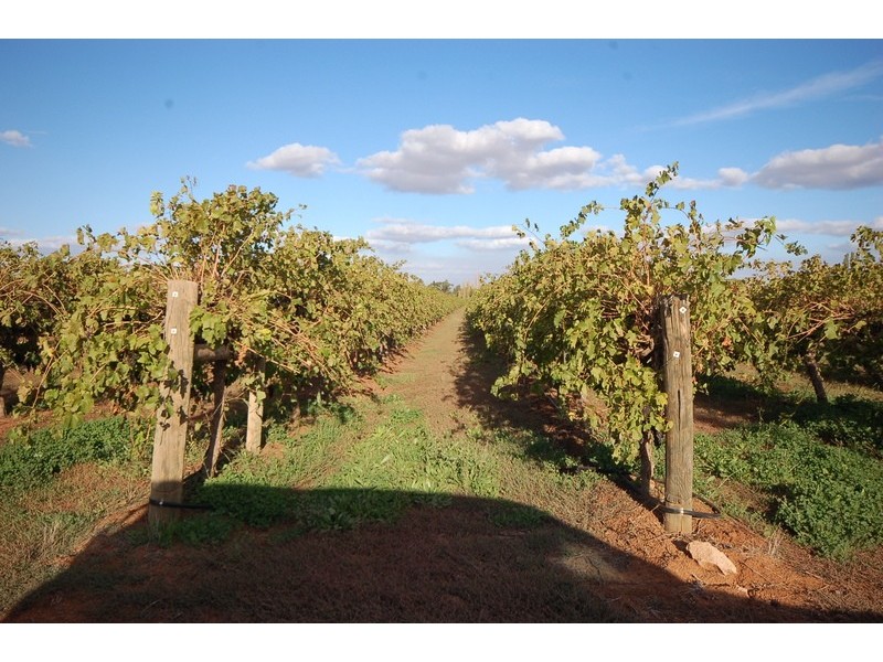 Yenda NSW 2681