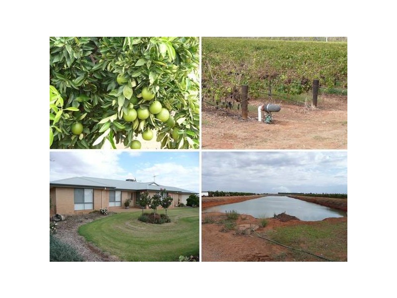 Farm 2656 Irrigation Way, Widgelli NSW 2680