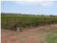 Farm 2656 Irrigation Way, Widgelli NSW 2680