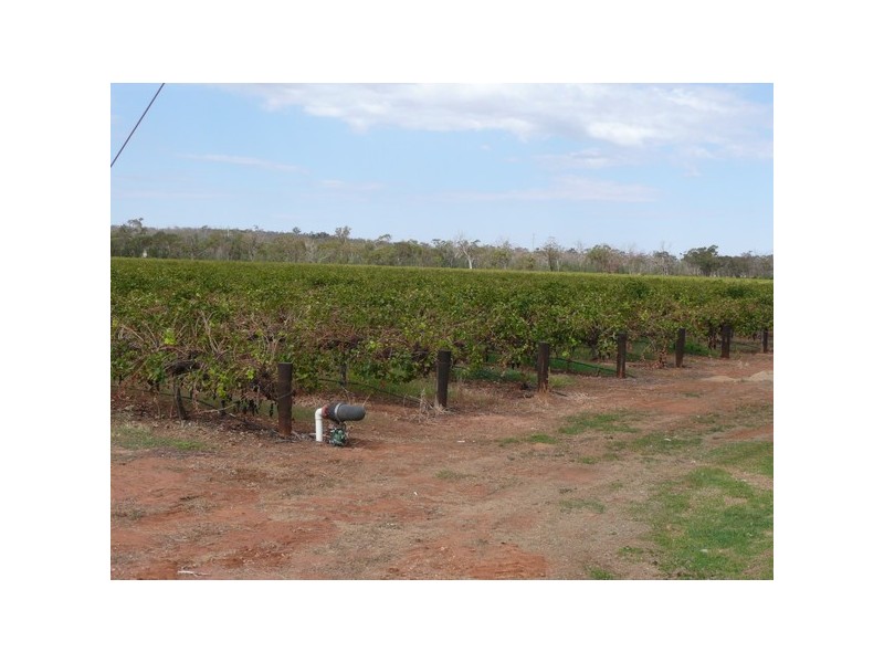 Farm 2656 Irrigation Way, Widgelli NSW 2680